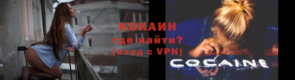 spice Каменногорск