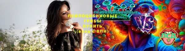 прущая мука Сафоново