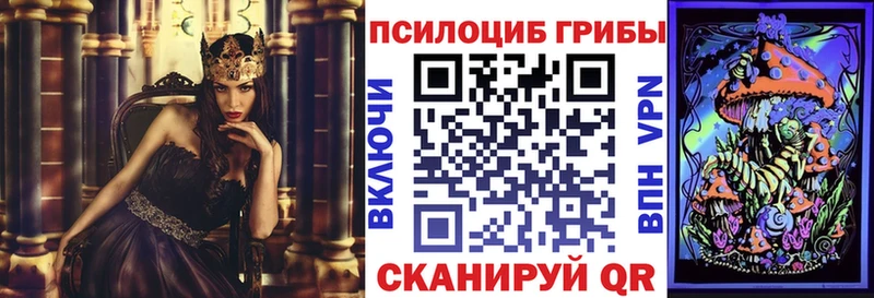 цена   Советск  Галлюциногенные грибы Magic Shrooms 