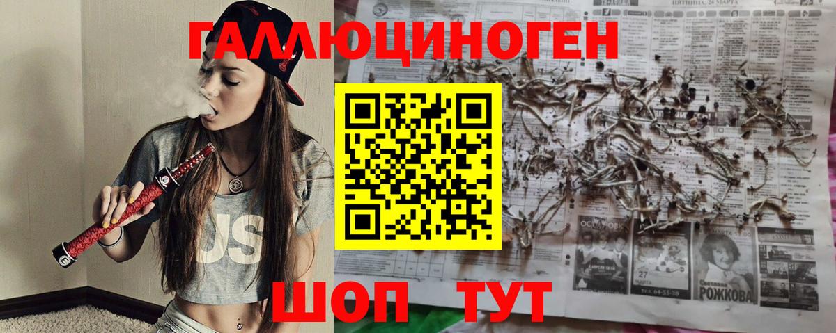 Псилоцибиновые грибы Cubensis  Вход с VPN  цена   Псилоцибиновые грибы Psilocybine cubensis  Советск 