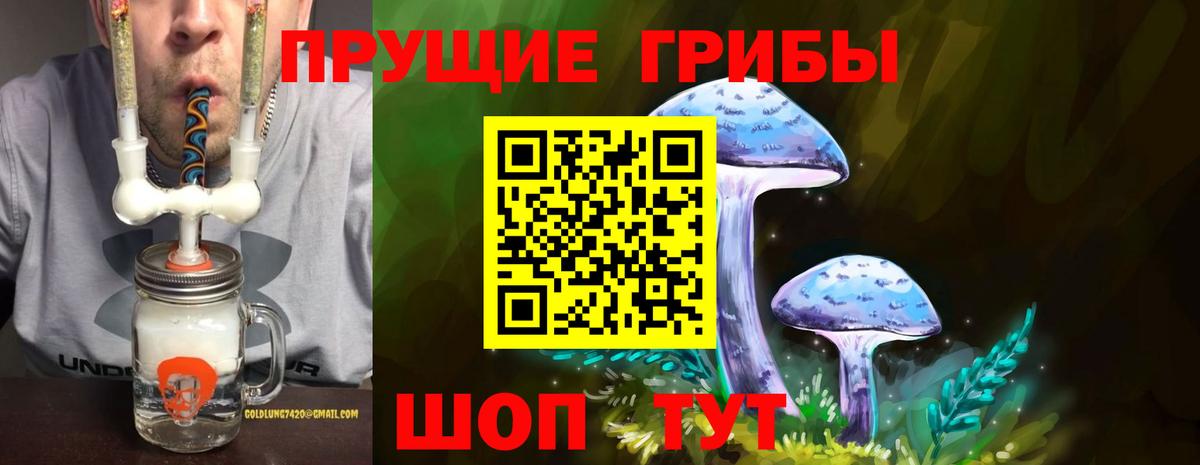 Псилоцибиновые грибы мухоморы Советск